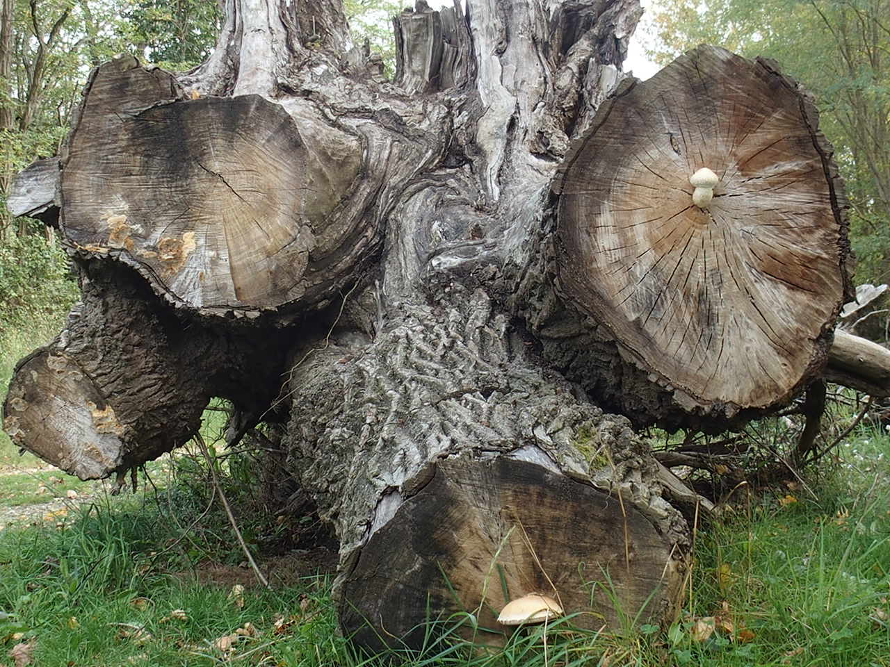 Aucune photo pour cette étape.